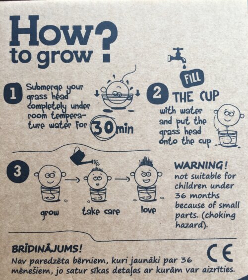 how-to-grow-grass-head